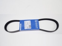 Ремень генератора 1118 HANSE/GLOBELT (882)